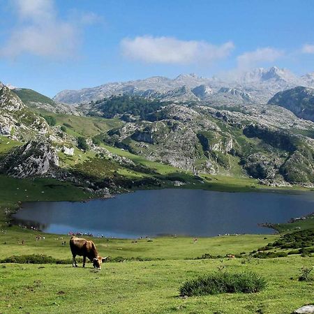 Casa Las Hortensias Quintana Llanes Zewnętrze zdjęcie