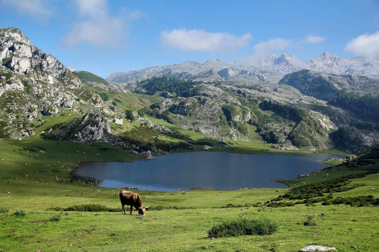 Casa Las Hortensias Quintana Llanes Zewnętrze zdjęcie